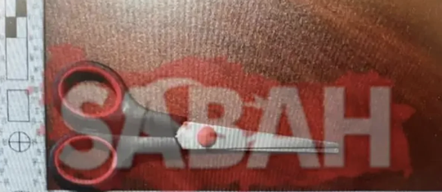 Gülistan Doku soruşturmasında şok detaylar! Tuncay Sonel'in planı ortaya çıktı, suda bulundu reçete, makas... - Resim: 0