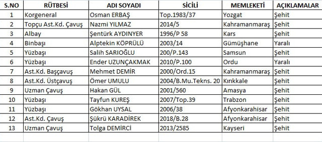Bitlis şehitlerinin isimleri belli oldu! - Resim: 0