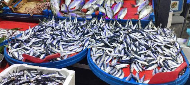 Sardalya 20 liraya kadar düştü vatandaşlar adeta kapıştı - Resim: 0