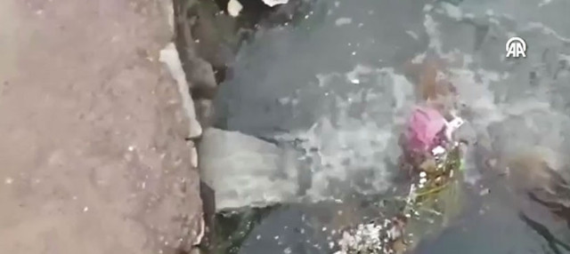 Çınarcık Belediyesine çevre kirliliği cezası uygulandı - Resim: 0