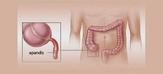 Üçüncü bir gözünüz olduğunu biliyor muydunuz? - Resim: 4
