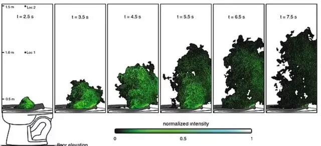 Tuvaletteki gizli tehlike! Ölümcül hastalık böyle yayılıyor: Her şey 8 saniyede oluyor - Resim: 3