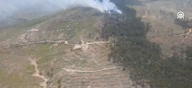 Adana, Muğla ve Çeşme'de yangın çıktı! Müdahale sürüyor ekipler bölgede - Resim: 1