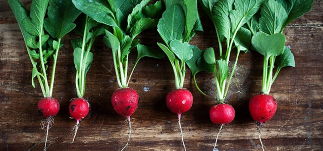 Kuru öksürüğü anında keser suyu mucize! - Resim: 4