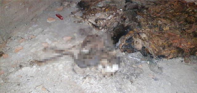 Bursa'da boş inşaatta vahşet! Gözlerini oydular - Resim: 0