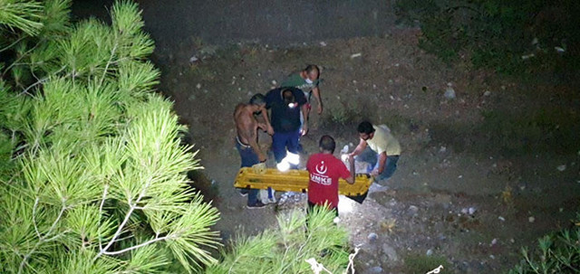 Aydın Bozdoğan'daki yangın kontrol altına alındı - Resim: 0