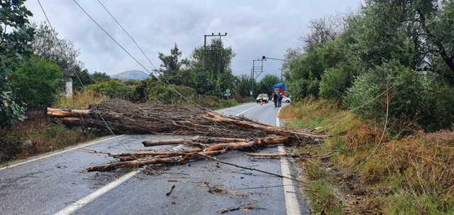 Aydın'da sağanak yaşamı olumsuz etkiledi: Ev ve iş yerlerini su bastı - Resim: 1