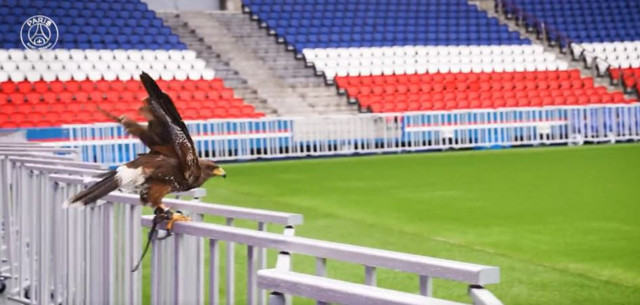 Dünya devi Paris Saint Germain 4 adet şahini işe aldı - Resim: 1