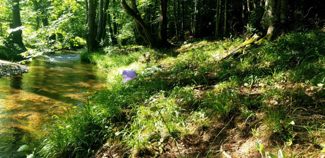 Trakyanın yıldızı İğneada'nın göz bebeği bir otel: İğneada Resort Hotel&Spa - Resim: 1