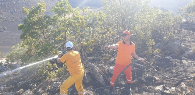 Diyarbakır'da iki ayrı anız yangını ormanlık alana sıçradı - Resim: 0