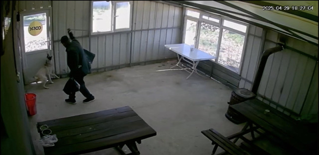 Edirne'de yaşlı adam 5 aylık köpeği bastonla dövdü! Savunması pes dedirtti - Resim: 0