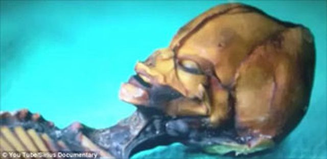 15 cm'lik iskeletin gizemi çözüldü! Kriz başladı - Resim: 4