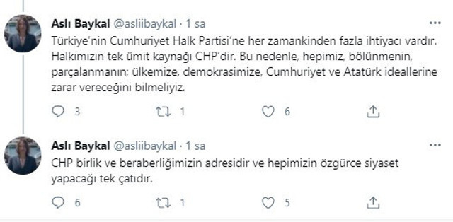 CHP yeniden karışıyor! Aslı Baykal kolları sıvadı siyasete giriyor - Resim: 1
