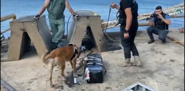 Bakan Soylu duyurdu! Tekirdağ Limanı'nda operasyon: Yüzlerce kilo ele geçirildi! - Resim: 0