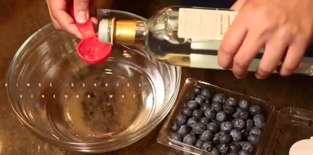 Meyveleri sirkenin içine atın bakın neler olacak! - Resim: 2