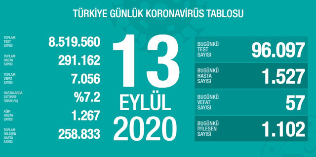 Türkiye'deki koronavirüs vaka ve ölü sayısında son durum (13 Eylül Pazar) - Resim: 0