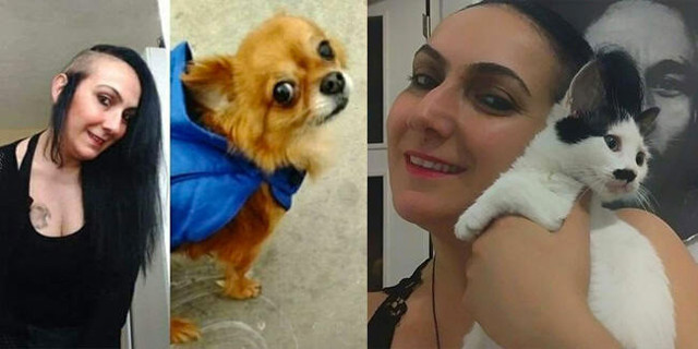 İstanbul'da 3 kedi 1 köpek evinde ölen sahibinin cesedini yedi - Resim: 0