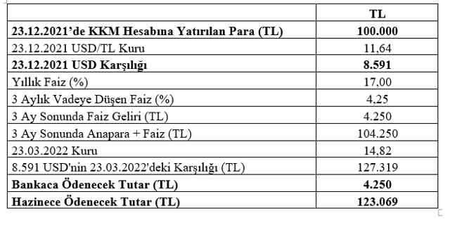 Mahfi Eğilmez: Merkez Bankası'nın rezervlerindeki azalmanın tek nedeni var - Resim: 0