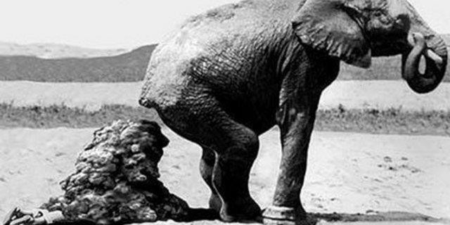 Ünlü sunucu çırılçıplak kafasına poşet geçirilmiş halde ölü bulundu! - Resim: 2