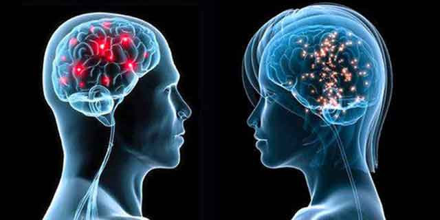 Şaşırtan araştırma! Kadınların beyni erkeklere göre... - Resim: 1