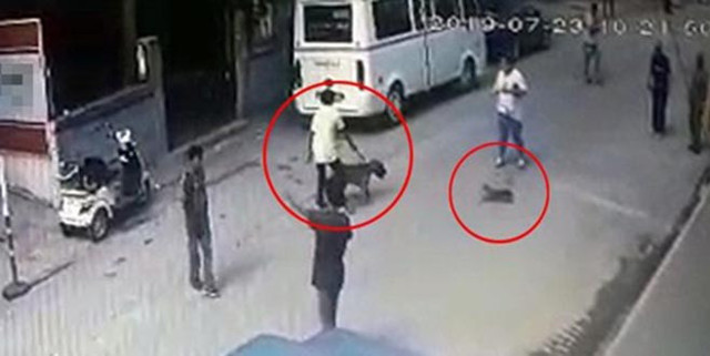 Hayvanını terk edene 10 bin TL ceza kötü mualemeye 2 yıl hapis - Resim: 0