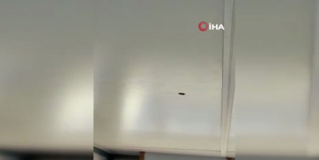 Yunanistan Sahil Güvenlik birimleri Ro-Ro gemisine taciz ateşi açtı - Resim: 1