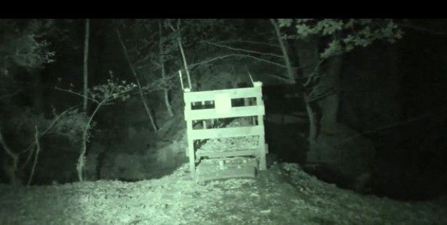 Bu görüntüler ormanda çekildi! Uzaylı mı yoksa şeytan mı? - Resim: 1