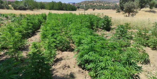 Diyarbakır’da Narko Terör Operasyonu başlatıldı: 950 personel katılıyor - Resim: 0