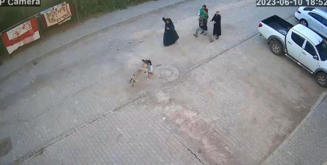 Şanlıurfa'da dehşet anları! Sokak köpeği 4 yaşındaki kız çocuğuna saldırdı: O anlar kamerada! - Resim: 2