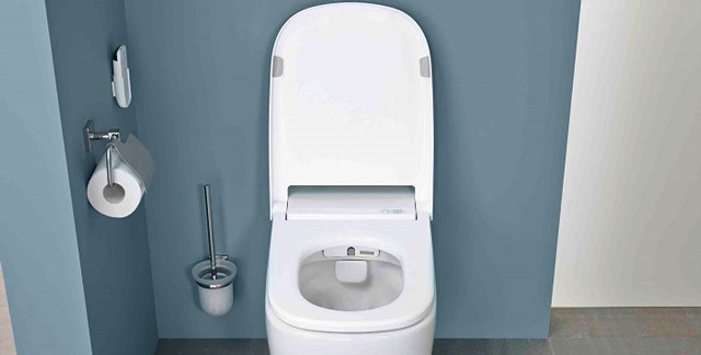 Kocası ve çocuklarına kızdı klozete elektrik verdi! - Resim: 2