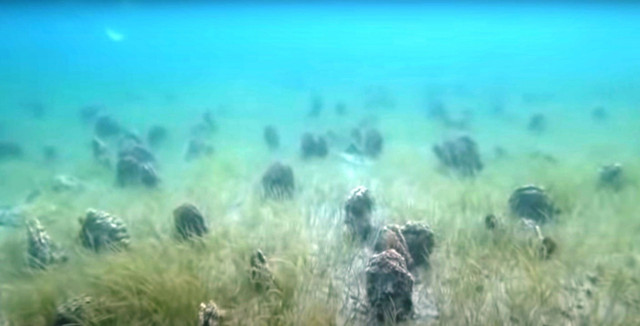 Çanakkale'de korkutan manzara! Adeta mezarlığa döndüm durumda - Resim: 0