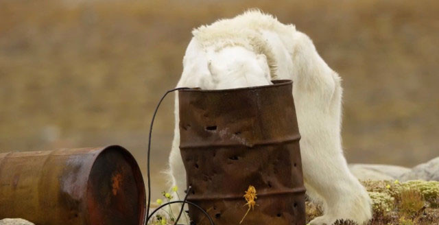 İnsanlığı utandıran görüntüler küresel ısınmanın acı yüzü - Resim: 4