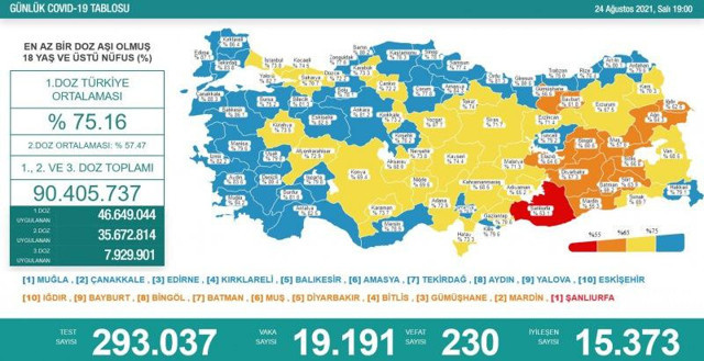 Türkiye 24 Ağustos 2021 koronavirüs vaka ve ölü sayısı! Sağlık Bakanlığı Covid-19 tablosu - Resim: 0
