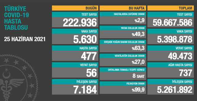 Türkiye 25 Haziran 2021 koronavirüs vaka ve ölü sayısı! Sağlık Bakanlığı Covid-19 tablosu - Resim: 0