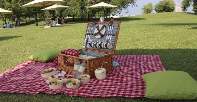 piknik