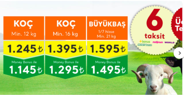 Migros kurbanlık fiyatları 2019 küçükbaş fiyatı kaç para? - Resim: 0