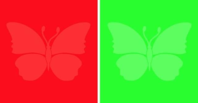 Burada hangi rakamlar var? Renk körlüğü testi - Resim: 1