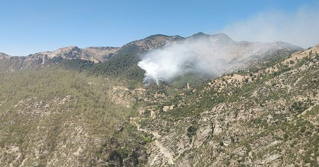 Kahramanmaraş'ta ormanlık alanda yangın! Alevlere müdahale ediliyor - Resim: 1