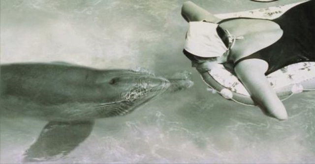 Böylesi daha önce duyulmadı yunus balığıyla cinsel ilişkiye girdiğini itiraf etti - Resim: 4