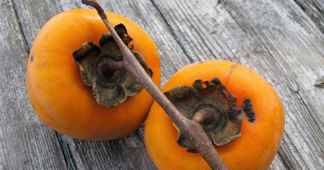 Hurmanın öyle bir faydası var ki erkeklerin imdadına yetişiyor - Resim: 4