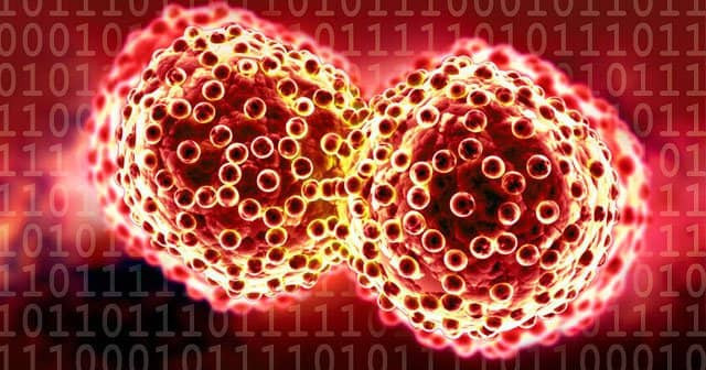 'Kanserin artış hızı yavaşladı' - Resim: 2