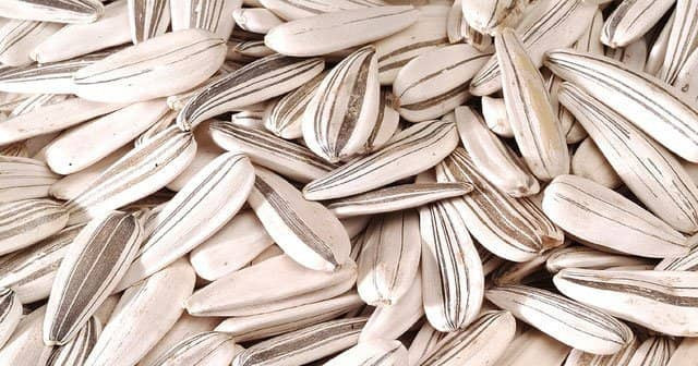 Ay çekirdeği depresyona iyi geliyor! - Resim: 1