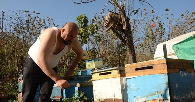 'Benim arılarım beni tanır' deyip yarı çıplak arıların arasına daldı - Resim: 4