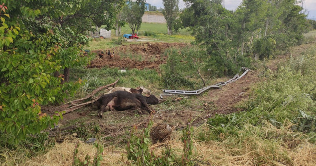 Sivas'ta kamyonet elektrik direğine çarpınca olanlar oldu - Resim: 1