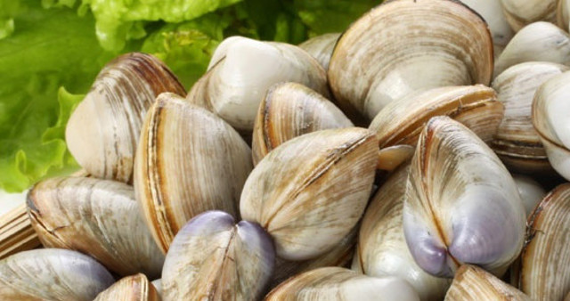 Türkiye'de kimse 'cik cik' yemiyor! Yurt dışından talep yağıyor! İspanya, Norveç, Japonya... - Resim: 1