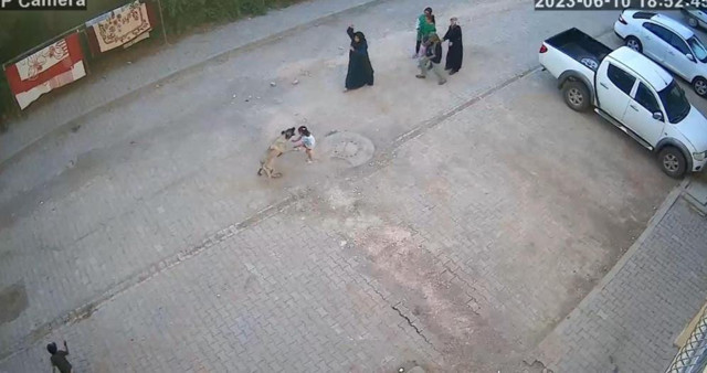 Şanlıurfa'da dehşet anları! Sokak köpeği 4 yaşındaki kız çocuğuna saldırdı: O anlar kamerada! - Resim: 1