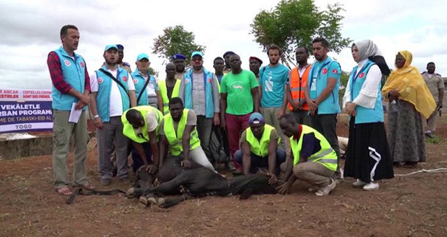 Cumhurbaşkanı Erdoğan'ın kurbanı vekalet yoluyla Togo'da kesildi - Resim: 0