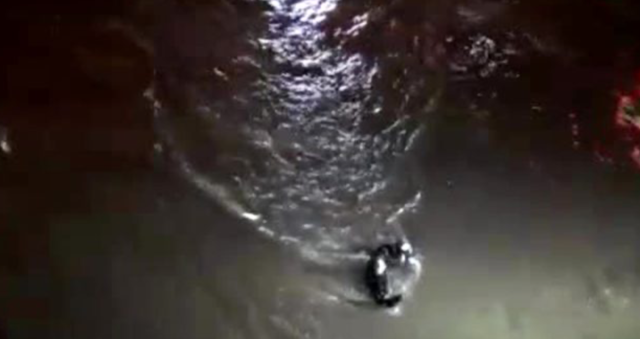 Feci haber Samsun'dan! Nehre atlayan kızını kurtarmak isteyen baba akıntıda kayboldu - Resim: 0