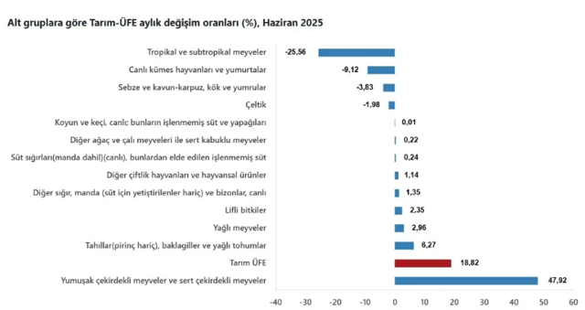 TÜİK tarım verisi şoke etti! Meyve fiyatları yüzde 202 arttı ithali bile rekor kırdı - Resim: 0