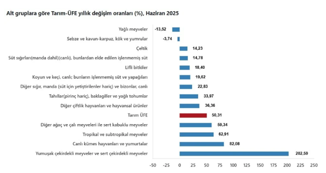 TÜİK tarım verisi şoke etti! Meyve fiyatları yüzde 202 arttı ithali bile rekor kırdı - Resim: 1
